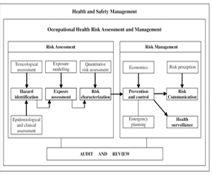 Occupational health risk assessment and management